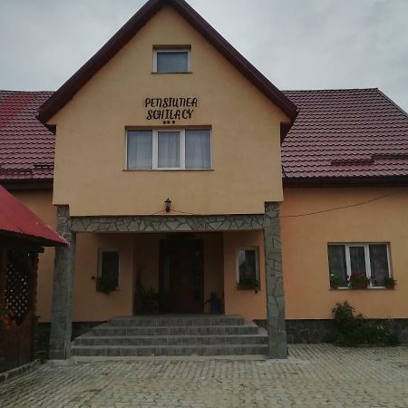 Pensiunea Schilacy Grosii Tiblesului Buitenkant foto