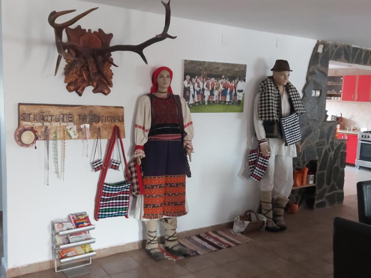 Pensiunea Schilacy Grosii Tiblesului Buitenkant foto