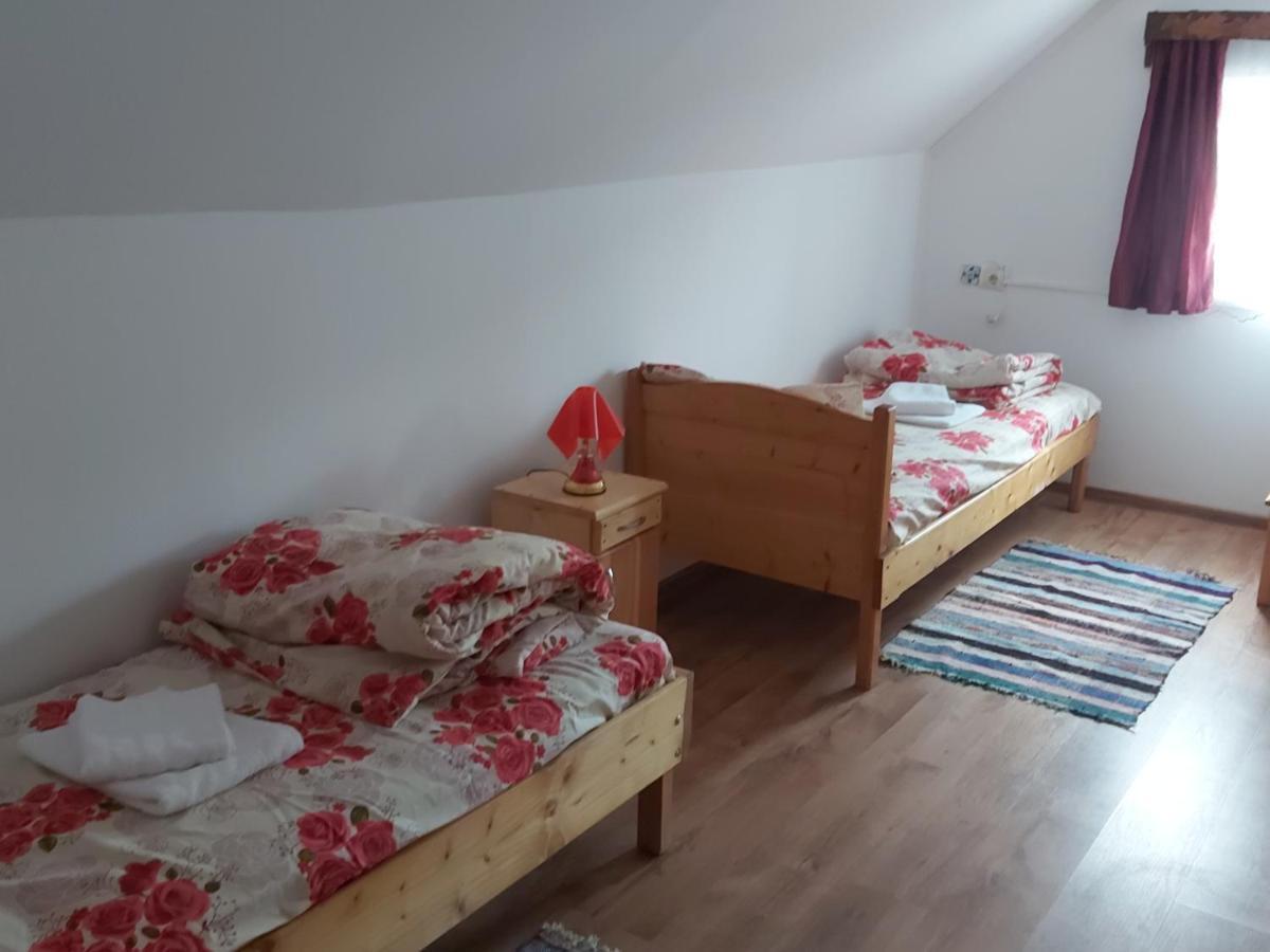 Pensiunea Schilacy Grosii Tiblesului Buitenkant foto