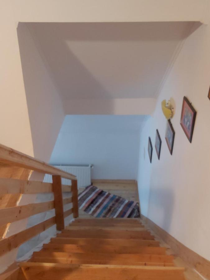 Pensiunea Schilacy Grosii Tiblesului Buitenkant foto