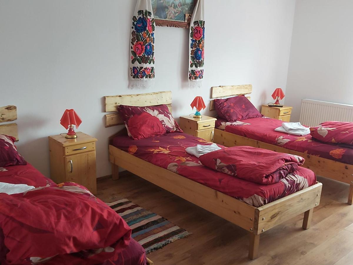 Pensiunea Schilacy Grosii Tiblesului Buitenkant foto