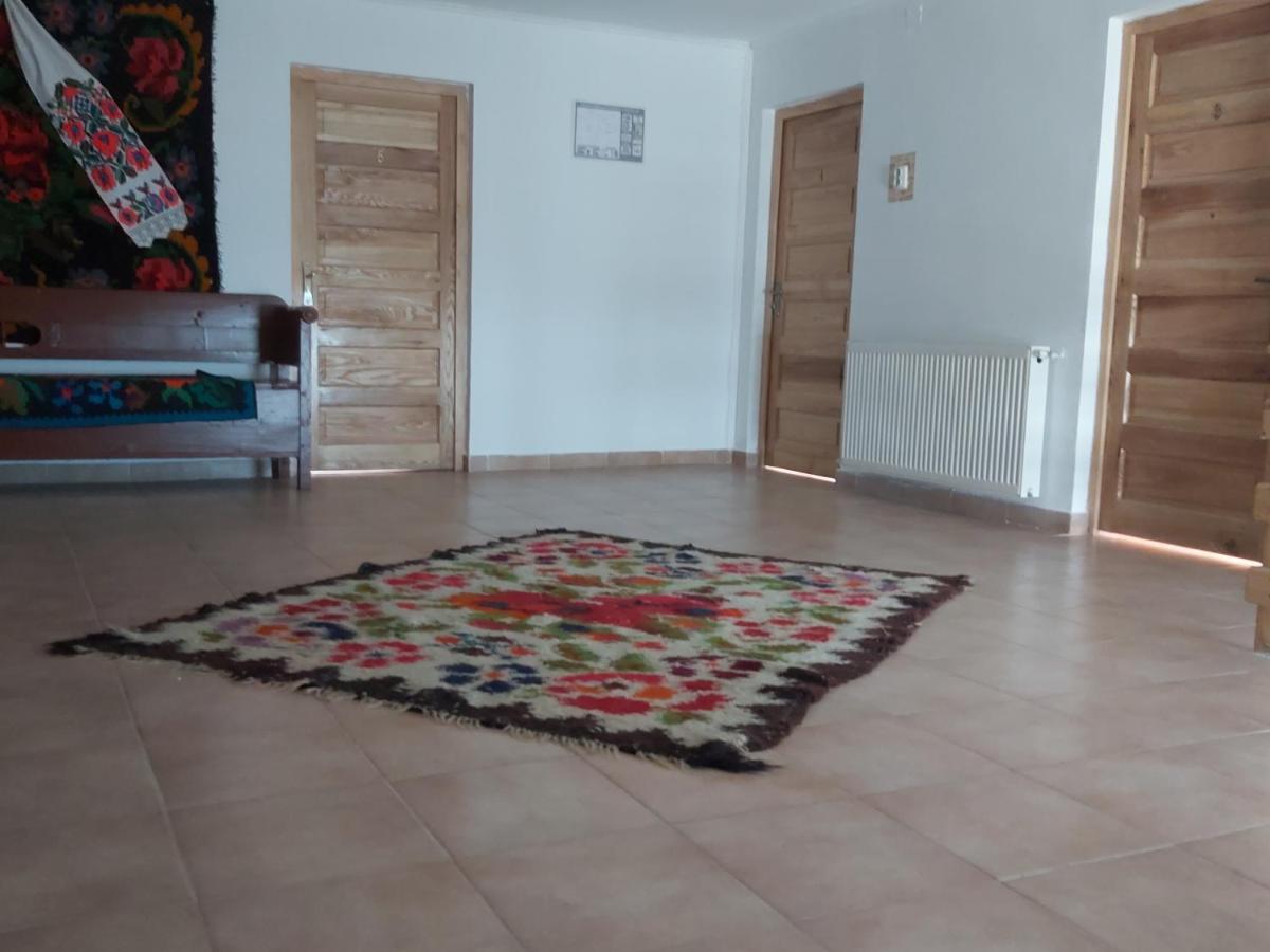 Pensiunea Schilacy Grosii Tiblesului Buitenkant foto