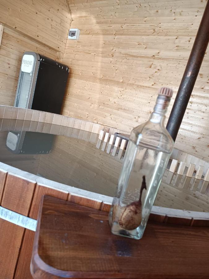 Pensiunea Schilacy Grosii Tiblesului Buitenkant foto